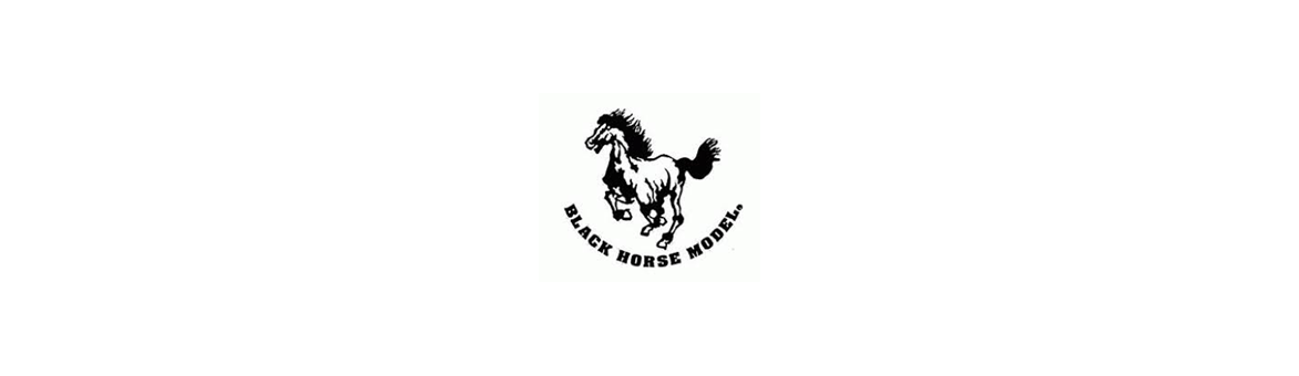 BlackHorse
