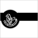 BlackHorse