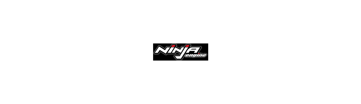 Ninja